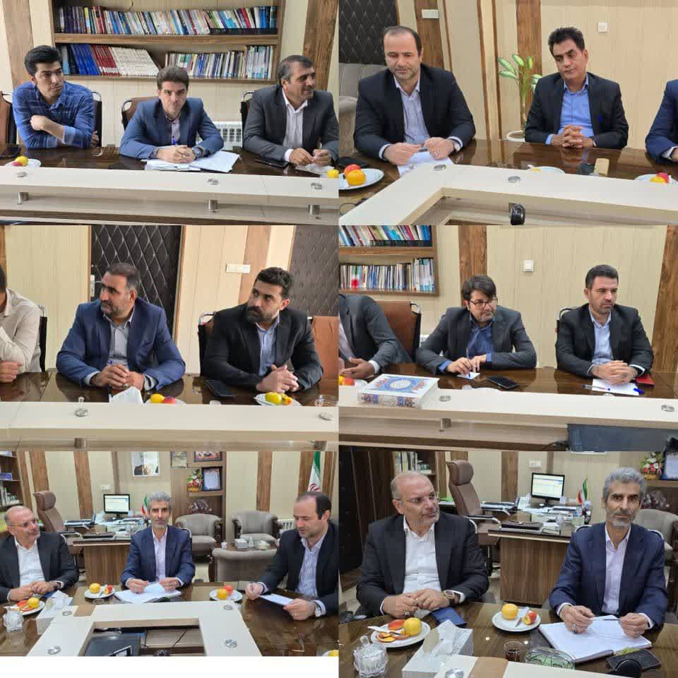 حضور مدیرعامل شرکت برق لرستان در دورود